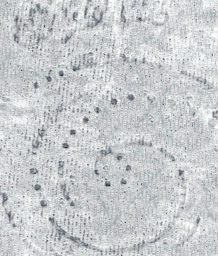 Fig.1. Watermark on toilet paper